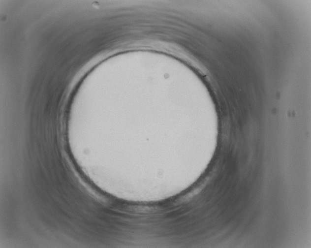 X0000082691517200702232151