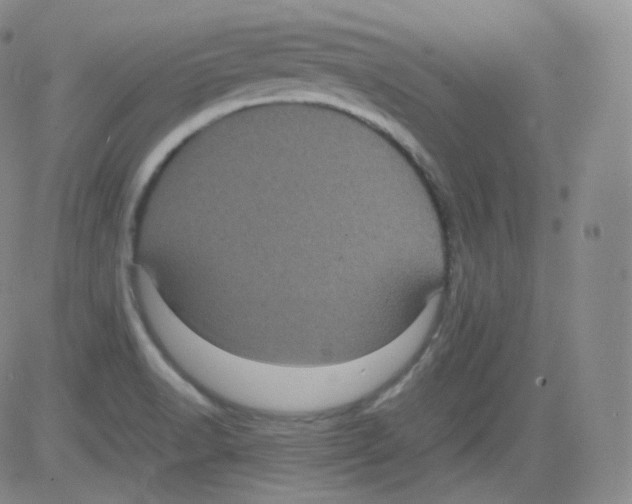 X0000082691518200702232151