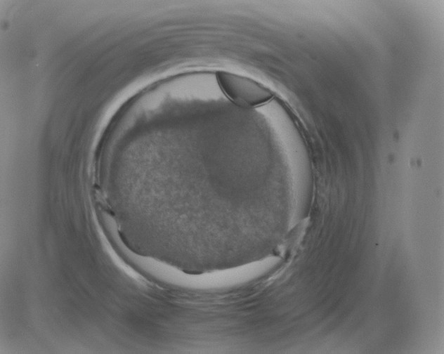 X0000082691519200702232151