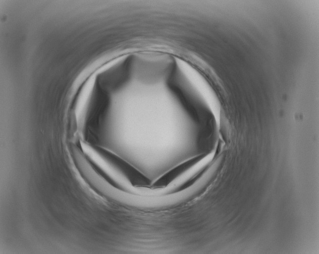 X0000082691520200702232151