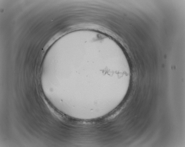 X0000082691521200702232151