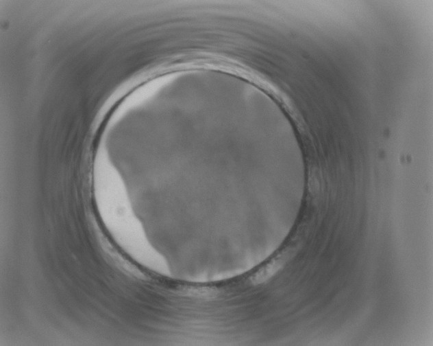 X0000082691522200702232151