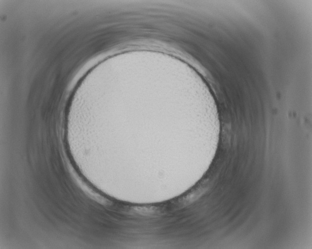 X0000082691523200702232151