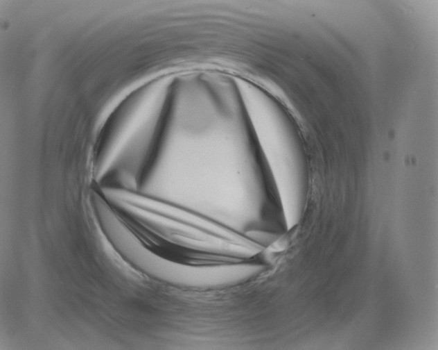 X0000082691524200702232151