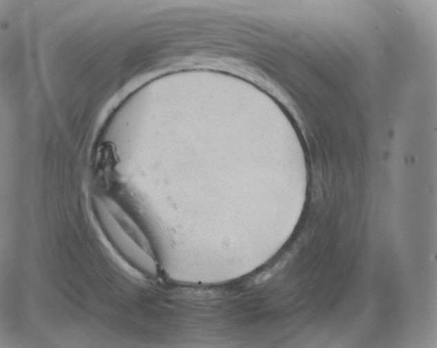 X0000082691525200702232151