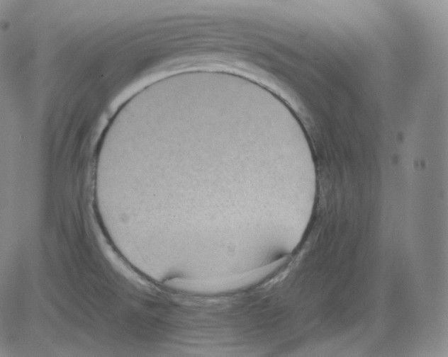 X0000082691526200702232151