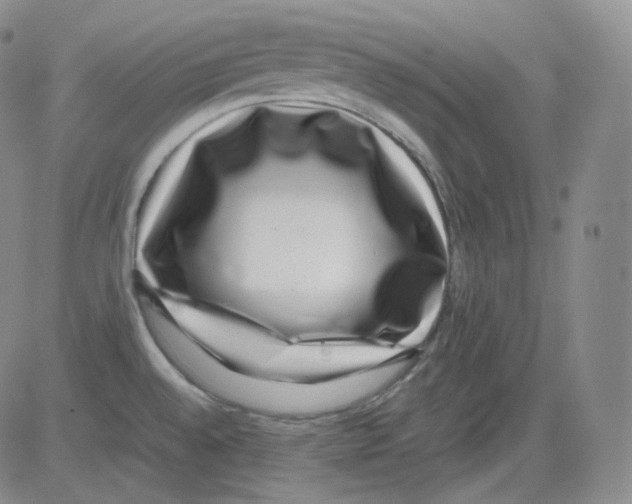 X0000082691528200702232151