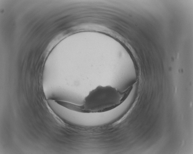 X0000082691529200702232151