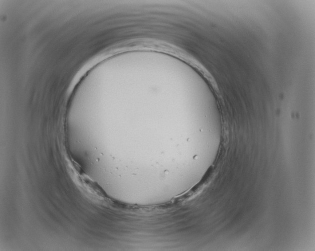 X0000082691530200702232151