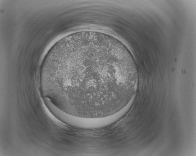 X0000082691531200702232151