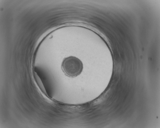 X0000082691533200702232151