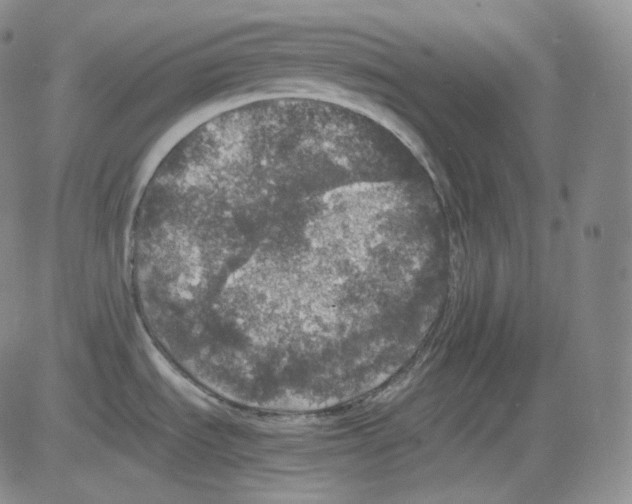 X0000082691535200702232151