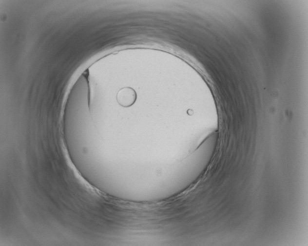 X0000082691536200702232151