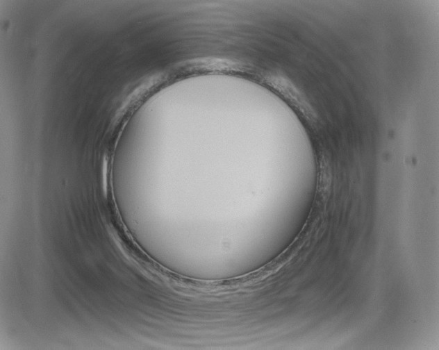 X0000082700014200701260941