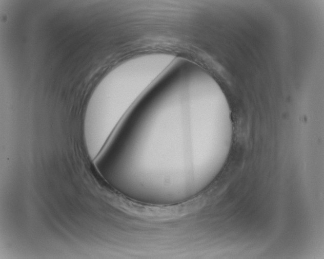 X0000082700027200701260941