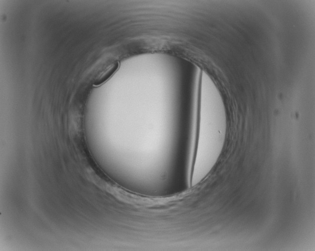 X0000082700035200701260941