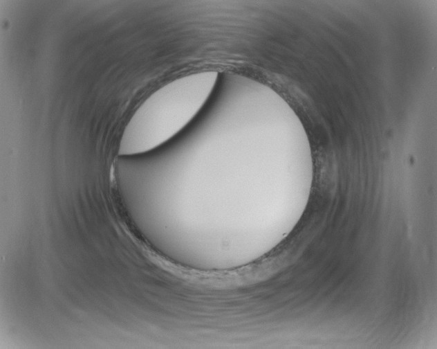 X0000082700042200701260941