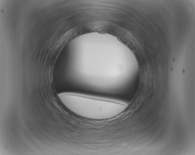 X0000082700044200701260941