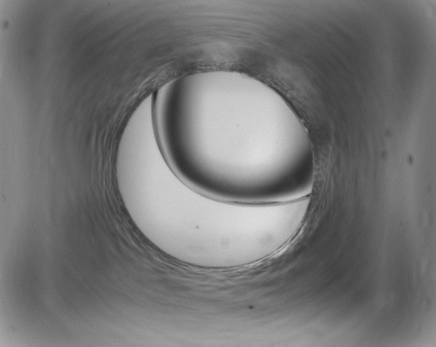 X0000082700045200701260941