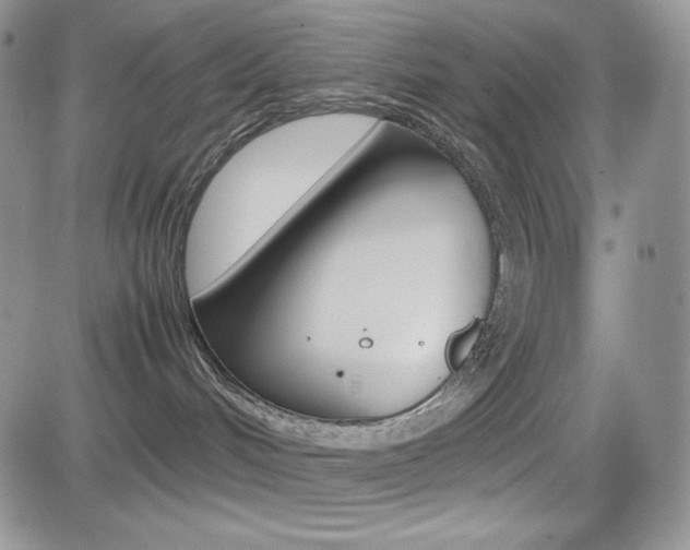 X0000082700048200701260941