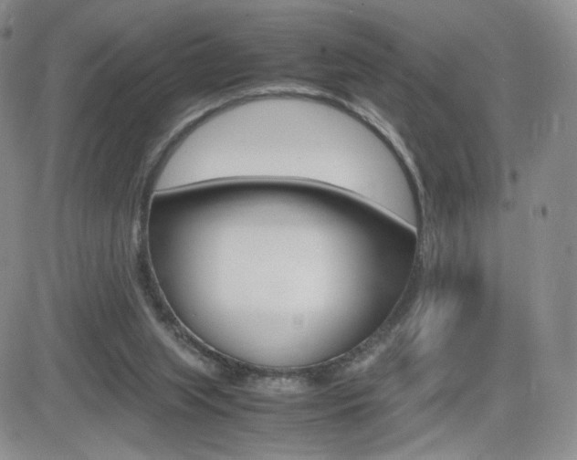 X0000082700063200701260940