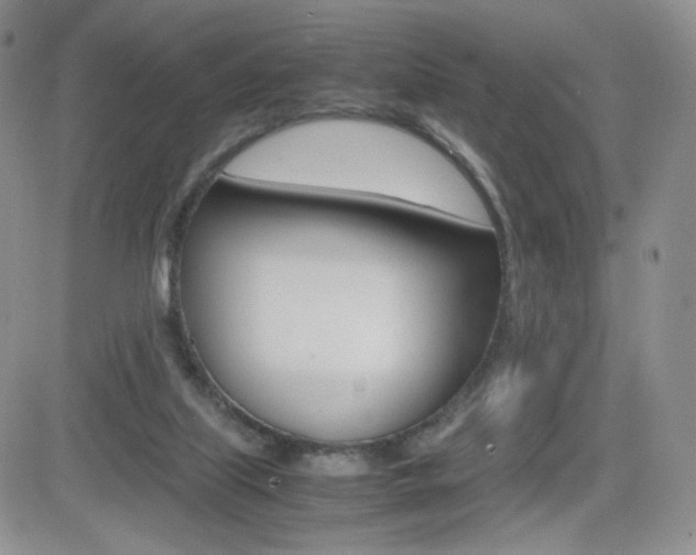 X0000082700067200701260940