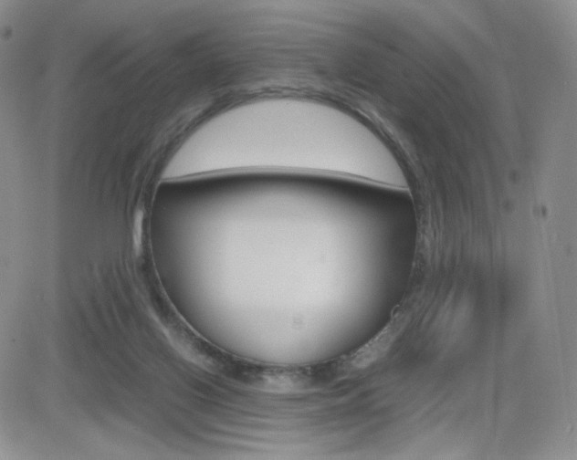 X0000082700070200701260940