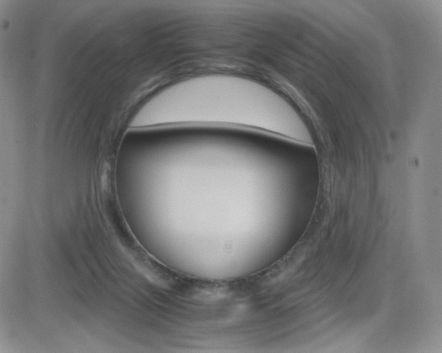 X0000082700071200701260940