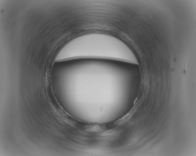 X0000082700074200701260940