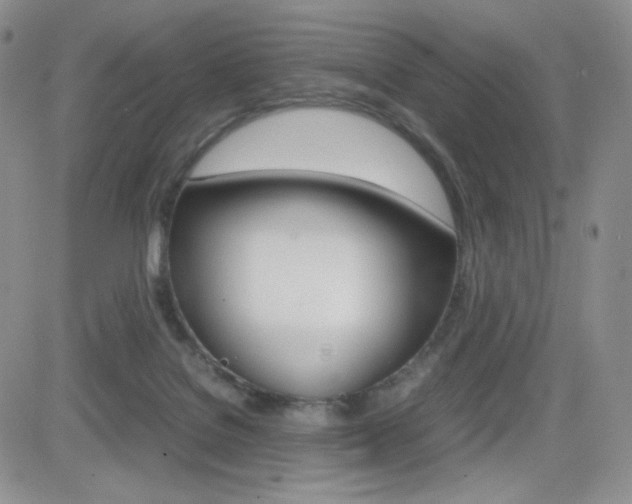 X0000082700076200701260940