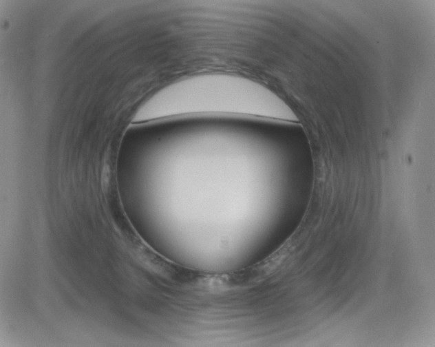 X0000082700080200701260940