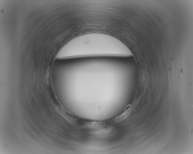 X0000082700082200701260940