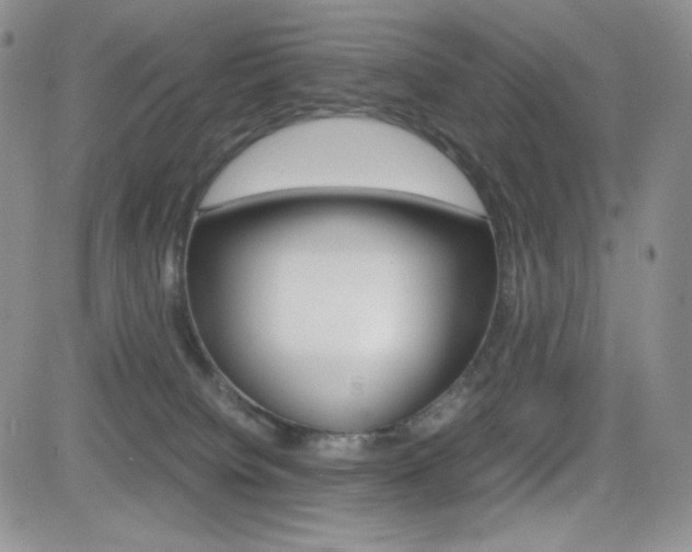 X0000082700084200701260940