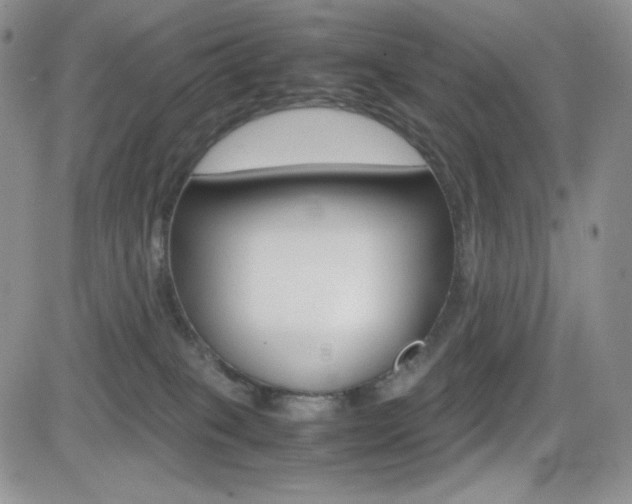 X0000082700085200701260941