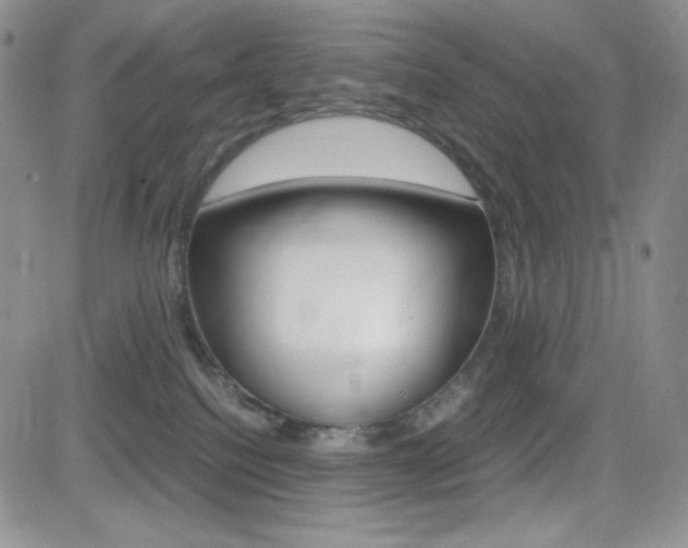 X0000082700088200701260941