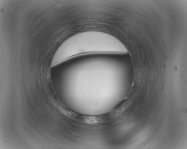 X0000082700091200701260941