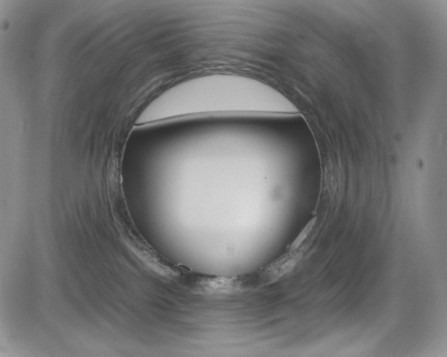 X0000082700092200701260941