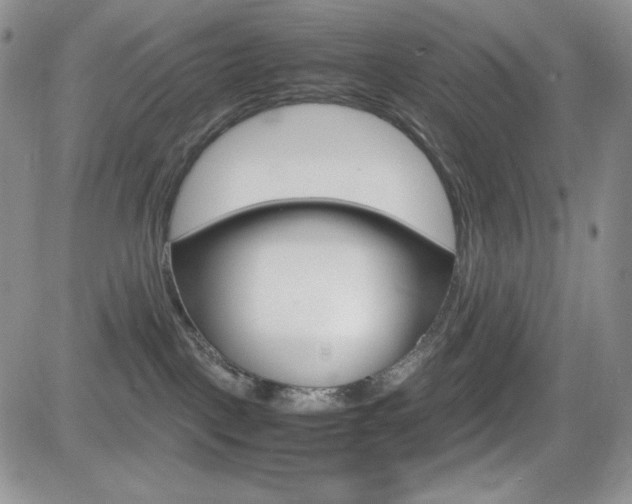 X0000082700093200701260941