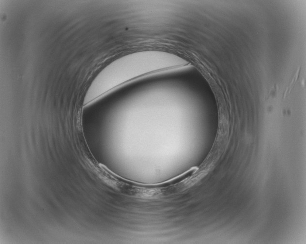 X0000082700096200701260941