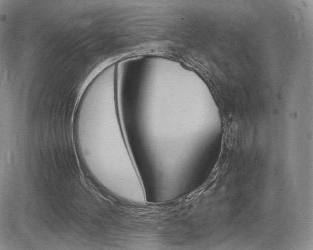 X0000082700100200701260940