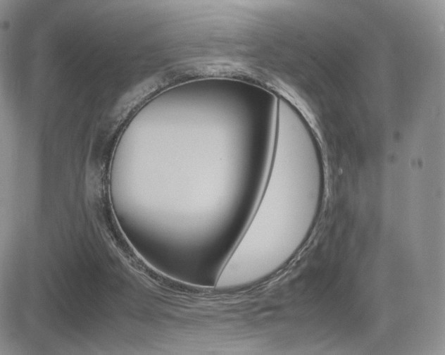 X0000082700105200701260940