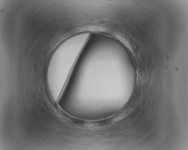 X0000082700109200701260940