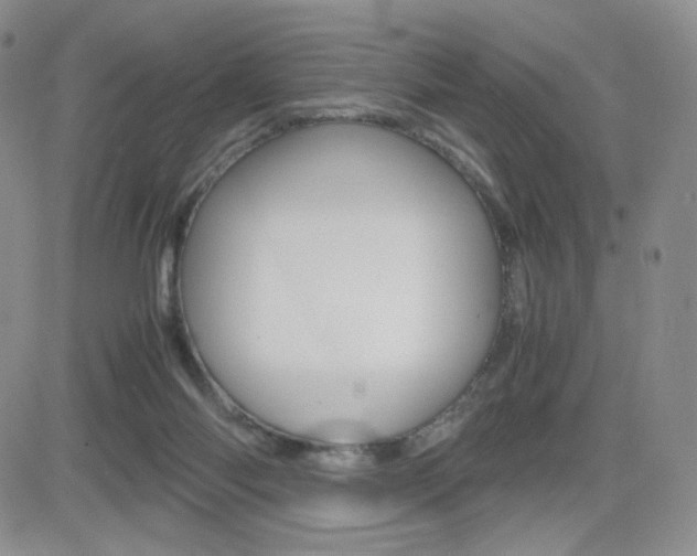 X0000082700118200701260940