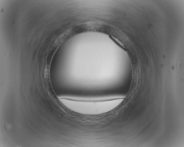 X0000082700137200701260939