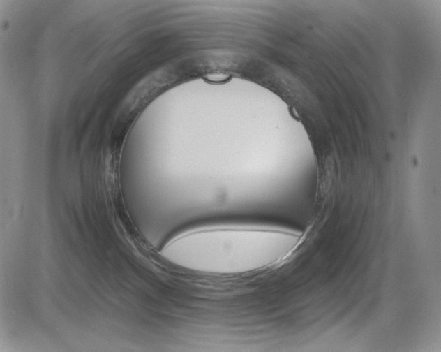 X0000082700140200701260939