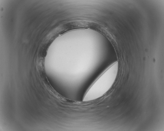X0000082700141200701260939