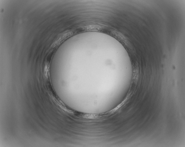 X0000082700142200701260939