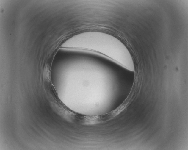 X0000082700143200701260939
