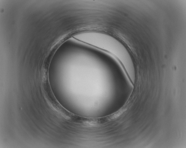X0000082700164200701260939