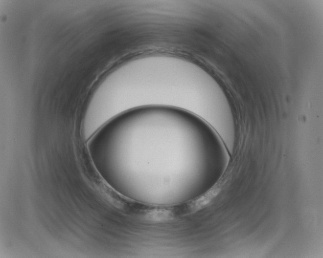 X0000082700168200701260939